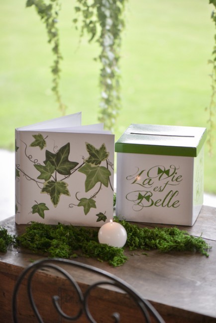 Mousse végétale sachet 50 grammes Mousse végétale sachet 50 grammes