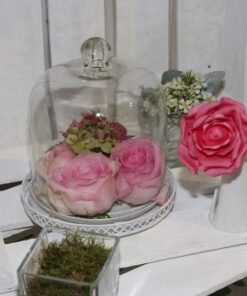 Location cloche en verre avec plateau métal