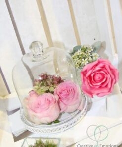Location cloche en verre avec plateau métal