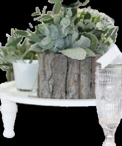 Bougeoir vase rondin de bois 15cm en Location
