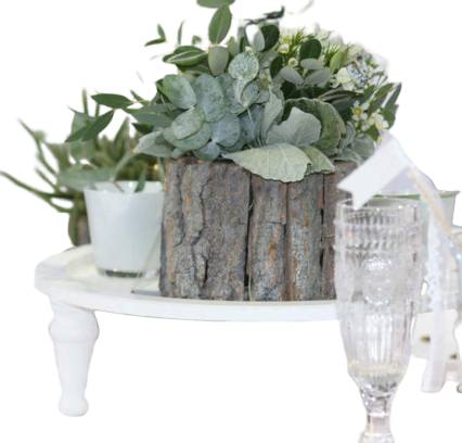 Bougeoir vase rondin de bois 15cm en Location Bougeoir vase rondin de bois 15cm en Location