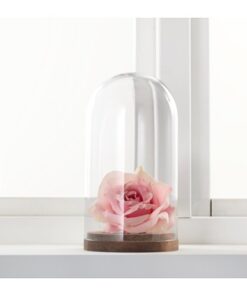 Location cloche en verre avec plateau bois