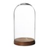 Location cloche en verre avec plateau bois