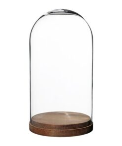 Location cloche en verre avec plateau bois