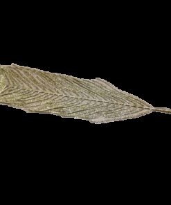 Location feuille sur tige dorée plumes paon OR