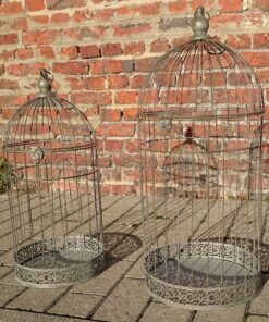 Location duo de cage à oiseaux en métal
