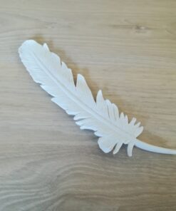 Location 10 plumes décoratives blanches bohème