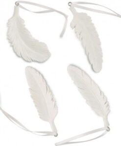 Location 10 plumes décoratives blanches bohème