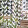 Arrière-Plan rideau Fleurs Blanches backdrop mariage