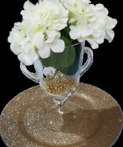LOCATION vase sur pied type Medicis verre transparent
