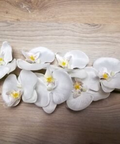 Location FLEUR orchidée blanche artificielle en tissu