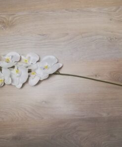 Location FLEUR orchidée blanche artificielle en tissu