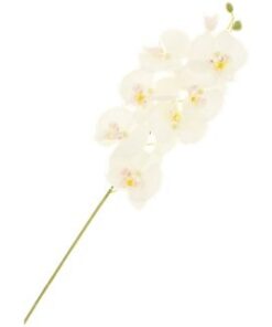 Location FLEUR orchidée blanche artificielle en tissu
