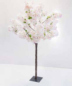 Arbre cerisier ROSE en location 1M40