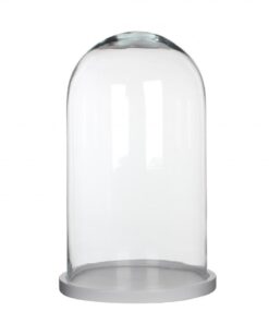 Location cloche en verre avec plateau bois blanc H24cm