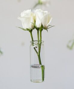 Petite bouteille en verre avec bouchon bouchon 6pc