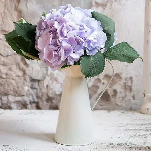 LOCATION pot cruche pichet ancien vase crème émail LOCATION pot cruche pichet ancien vase crème émail