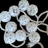 Location guirlande lumineuse lampion blanc étoiles bleues