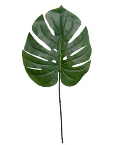 Location feuille de palmier géante 107cm