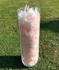 LOCATION 2 vase cylindre fond arrondi