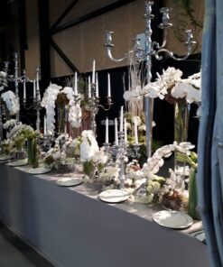 Location Chandelier 5 branches 150cm chrome