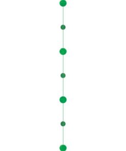5 ballons baudruche en latex vert sapin