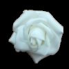 Location fleur blanche artificielle en mousse