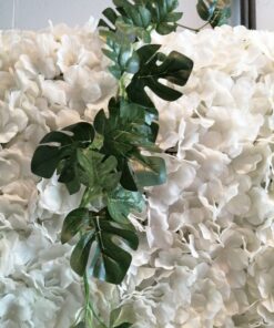 Location guirlande feuilles tropicales Monstera