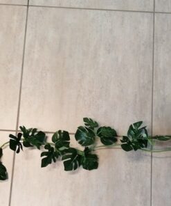 Location guirlande feuilles tropicales Monstera