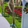 LOCATION Herbe de la pampa