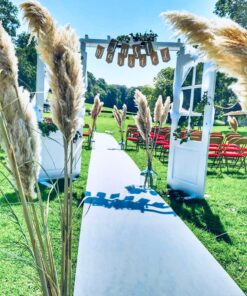 LOCATION Herbe de la pampa